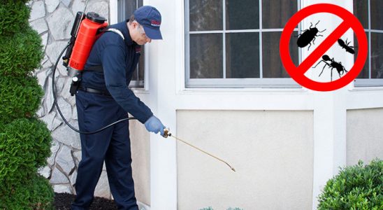 Evka 3 Bit İlaçlama böcek ilaçlama ve haşere kontrolü — ilaclama-tr.com